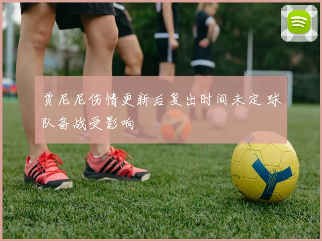 贾尼尼伤情更新后复出时间未定 球队备战受影响