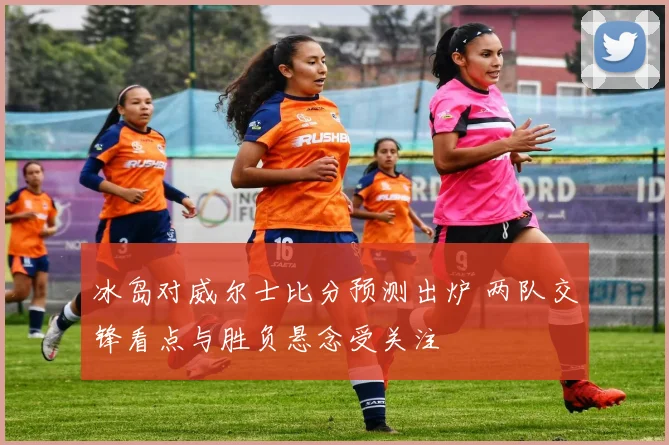 冰岛对威尔士比分预测出炉 两队交锋看点与胜负悬念受关注